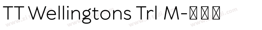 TT Wellingtons Trl M字体转换